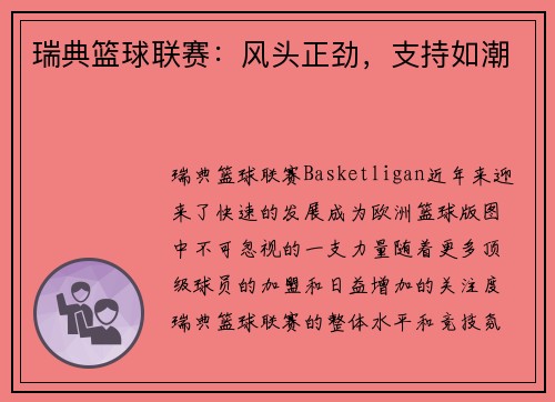 瑞典篮球联赛：风头正劲，支持如潮